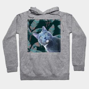 Summer of Roger the Cat Moody Palm Leaf Hoodie